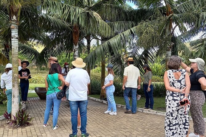 Private and Guided Tour at Usina De Arte De Pernambuco - Tour Overview
