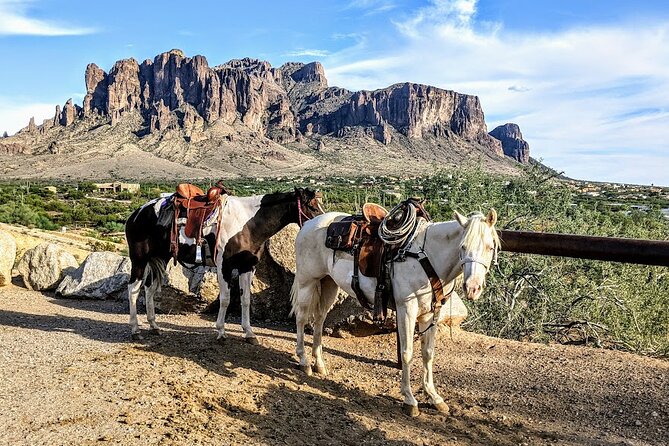 Private Apache Trail Tour With Canyon Lake Cruise - Tour Highlights