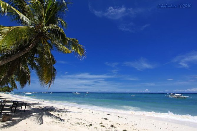 Private Bohol and Chocolate Hills With Loboc River Cruise - Tour Highlights