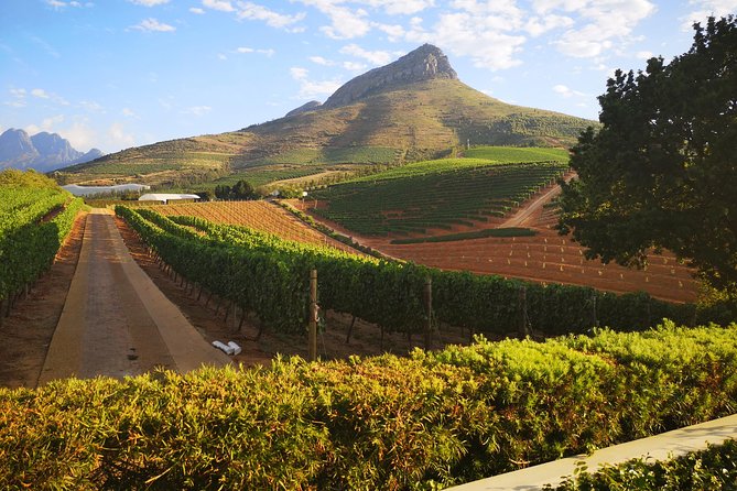 Private Cape Winelands Chauffer-Guide Tour for Small Groups. - Tour Details and Inclusions