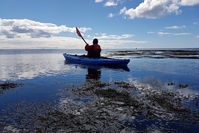 Private Catania Kayak Tour: River or Sea  - Sicily - Tour Details