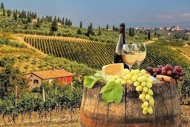 Private Chianti Winery Tour From Livorno With Pick up and Drop off - Tour Overview