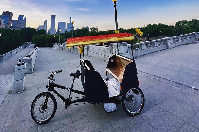 Private Chicago Pedicab Tour Through the Secrets of Lincoln Park - Tour Highlights