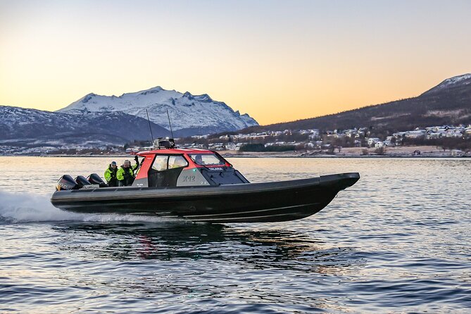 Private Cruise by High Speed RIB in Norway - Tour Details