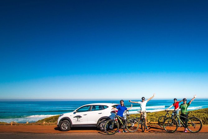 Private Cycling Tour of the Cape Peninsula From Cape Town - Tour Highlights