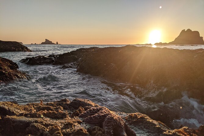 Private Day Hike- Rialto Beach Tide Pooling - Meeting Details