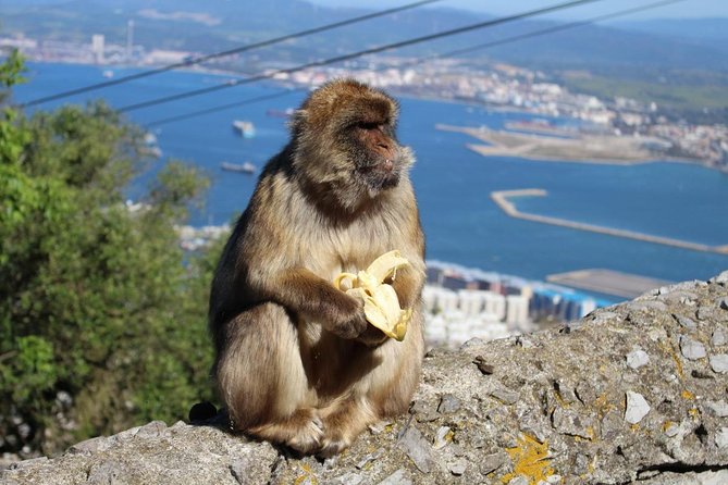 Private Day to Gibraltar From Marbella or Marbella - Tour Details