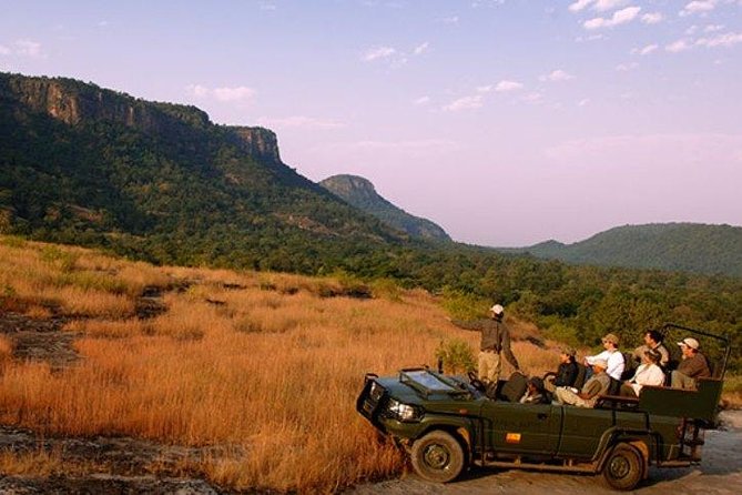 Private Day Tour Of Ranakpur Jain Temple & Jungle Safari From Udaipur - Tour Highlights