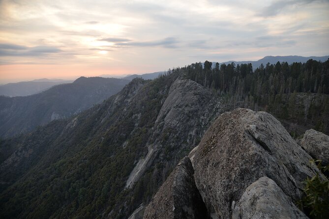 Private Day Tour to Sequoia and Kings Canyon Parks From LA - Tour Highlights