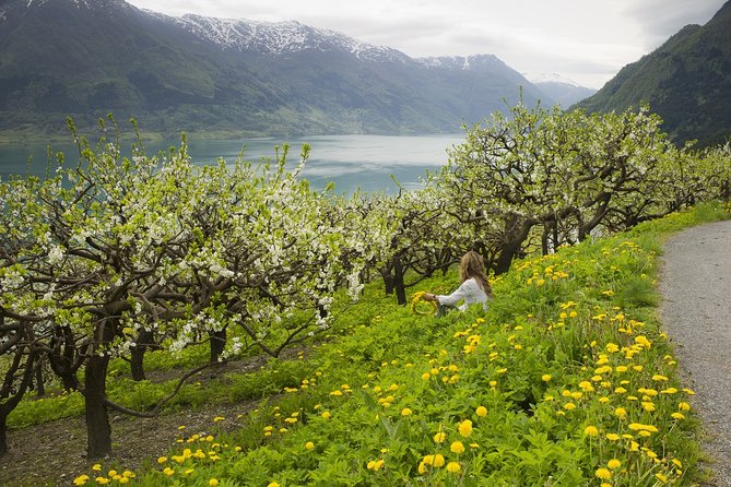 Private Day Trip to Folgefonna Glacier From Bergen - Overview and Itinerary