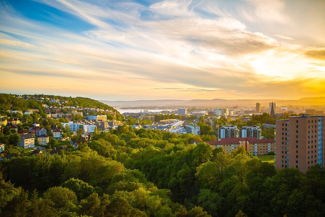 Private Direct Transfer From Drammen to Oslo - Overview and Inclusions