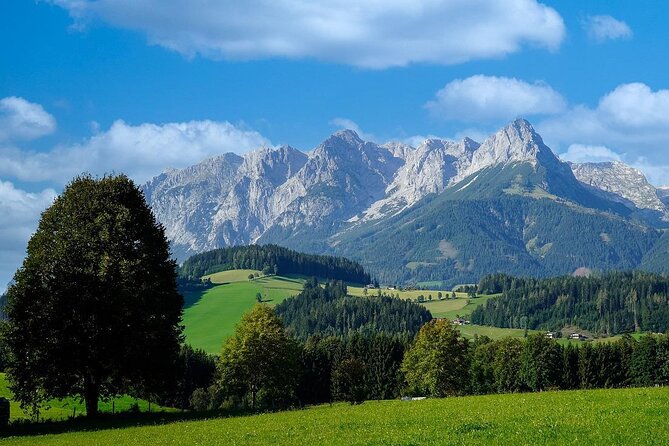 Private Direct Transfer From Mainz to Salzburg, English Speaking Driver - Vehicle and Amenities