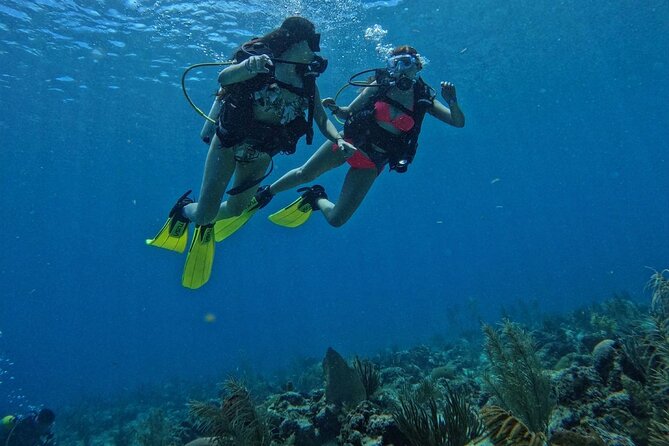 Private Diving Experience for Beginners in San Andres Islands - Good To Know