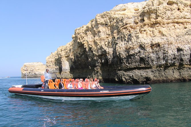 Private Dolphin Watching and Cave Tour From Vilamoura - Tour Details