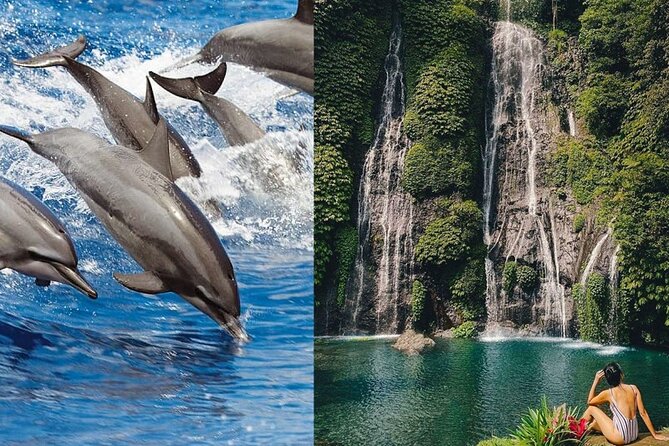 Private Dolphin-Watching Day Tour With Waterfalls & Temple  - Kuta - Pricing and Booking Details