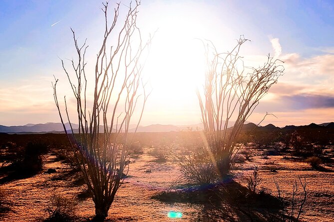 Private Driving and Hiking Tour in Joshua Tree National Park - Tour Duration and Pricing