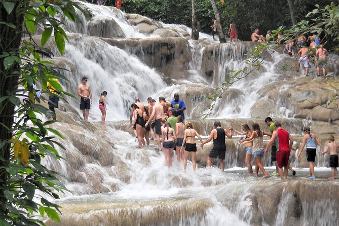 Private Dunns River Falls Day Trip From Montego Bay and Grand Palladium - Tour Pricing and Booking Details