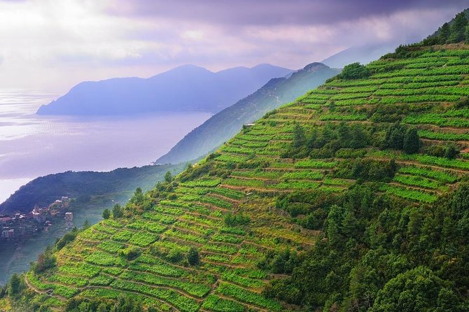 Private Easy Cinque Terre Day Trip From the Port of Livorno - Cancellation Policy