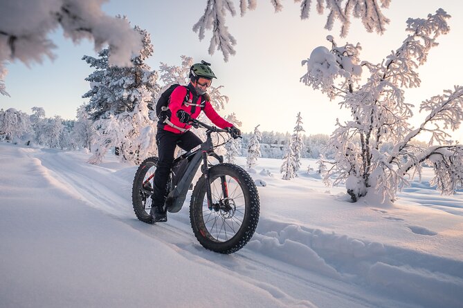 Private Electric Fat Bike Tour in Saariselkä - Tour Details