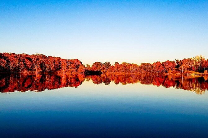 Private Fall Color Tour of Lake Leelanau With Licensed Guide - Tour Highlights