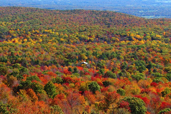 Private Fall Foliage Helicopter Tour From Westchester for 2-6 - Tour Pricing and Booking Details