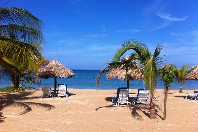 Private Fern Gully, Blue Hole and Bamboo Blu Beach Experience From Ocho Rios - Tour Highlights