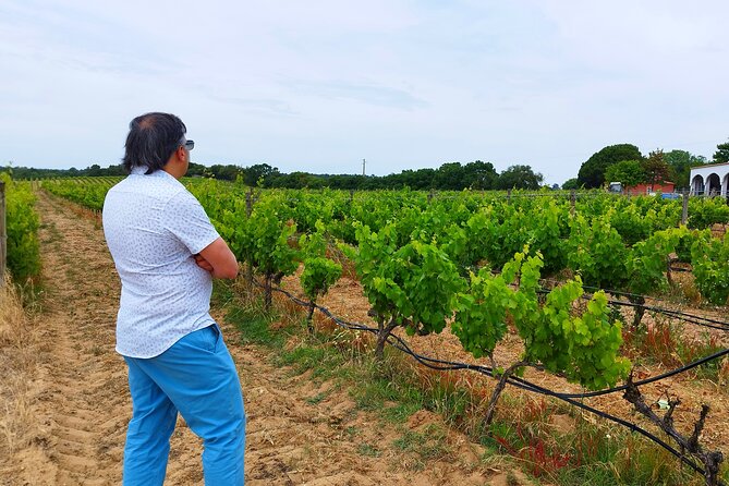 Private Full Day Evora & Alentejo Wine Tour From Lisbon - Tour Highlights