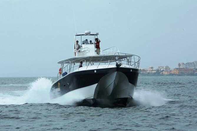 Private Full Day Fun Charter Aboard MV Sea Wolf - Charter Details