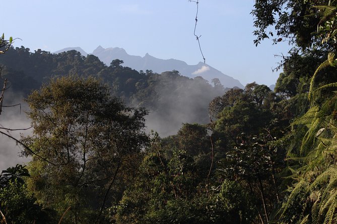 Private Full-Day Mindo Cloud Forest,Butterfly Farm, Chocolate Tour Bird Watching - Traveler Experience