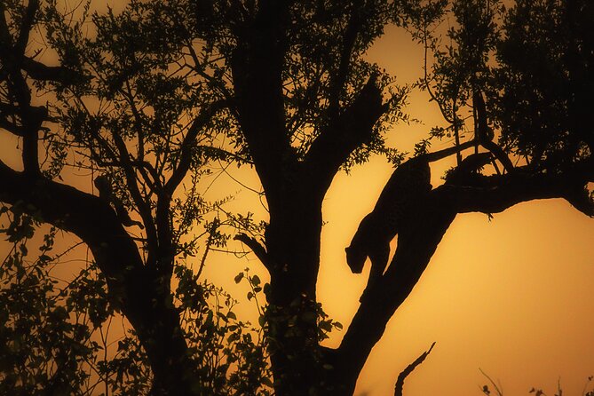 Private Full-Day Safari in Kruger National Park With Lunch - Start and End Details