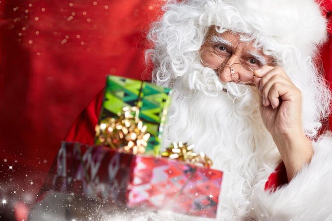 Private Full-Day Trip to Santa Claus Village From Levi - Trip Details