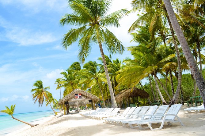 Private Full-Day Trip With Buffet and Lobster, Saona Island  - Punta Cana - Overview of the Saona Island Trip