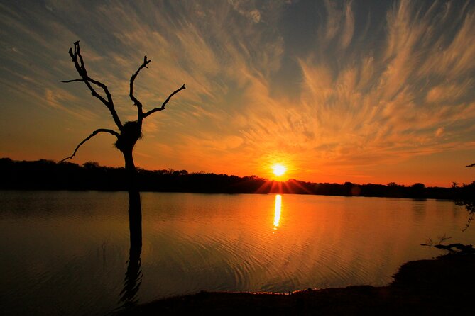 Private Game Drive Safari in Hoedspruit - Leadwood Big Game Estate Experience