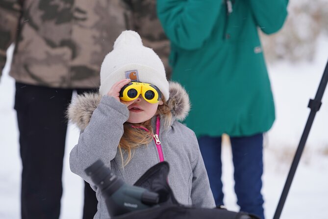 Private Grand Teton Winter Wildlife Safari With Picnic Lunch - Tour Description