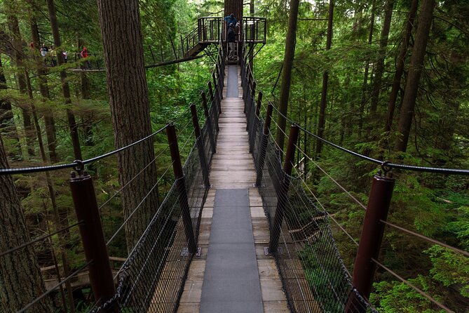 Private Grouse Mountain and Capilano Park Tour in Vancouver - Tour Details and Pricing
