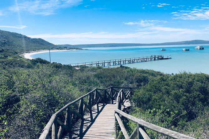 Private Guided Sightseeing Tour of West Coast National Park - Tour Itinerary