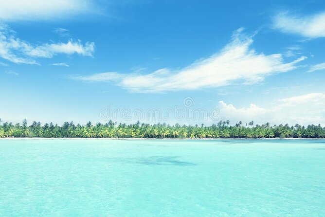 Private Guided Tour From Bávaro to Isla Saona by Speedboat Minimum 12 Pax - Tour Highlights