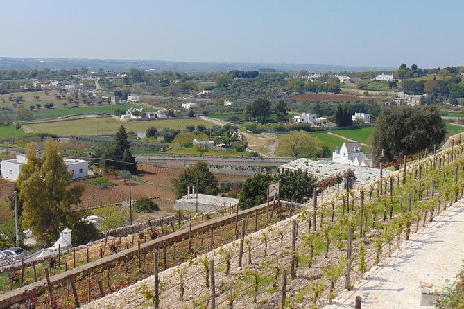 Private Guided Tour in the Old Town of Locorotondo: Among the Most Beautiful Villages of Italy - Tour Location and Duration