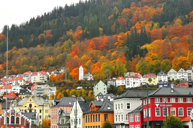 Private Guided Tour of Bergen With Transportation - Tour Highlights