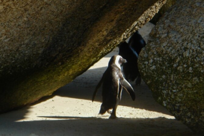 Private Guided Tour of the Cape Peninsula - Tour Inclusions