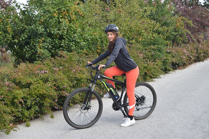 Private Guided Tour on Lake Como by E-Bike - E-Bike Rental Information