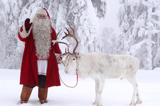 PRIVATE Guided VIP Car Rovaniemi City Tour & Santa Claus Village - Tour Overview