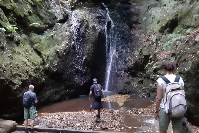 Private Guided Walk Levada Brasileiro - Levada Do Moinho - Pricing and Booking