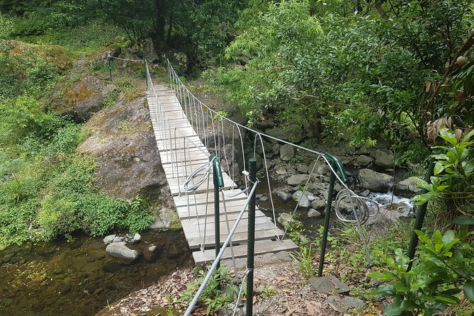 Private Guided Walk Levada Castelejo - Good To Know