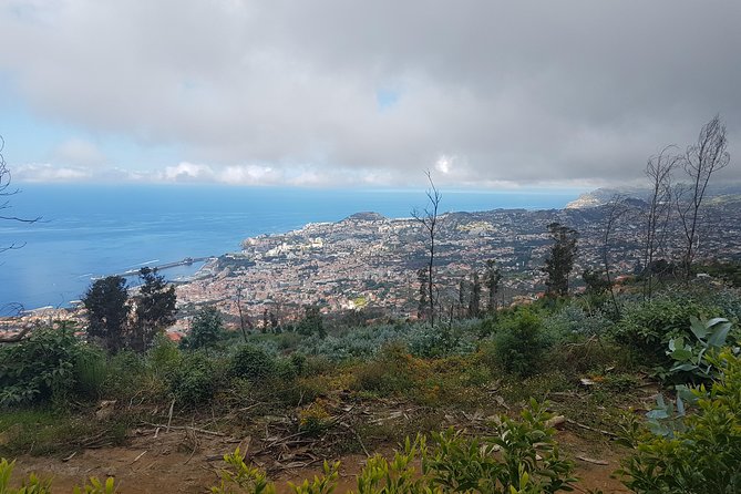 Private Guided Walk Levada Monte to Palheiro Ferreiro - Pricing and Booking Information