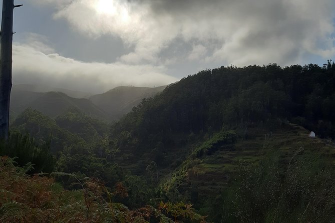 Private Guided Walk Levada Ponta Do Pargo - Pricing and Booking Details