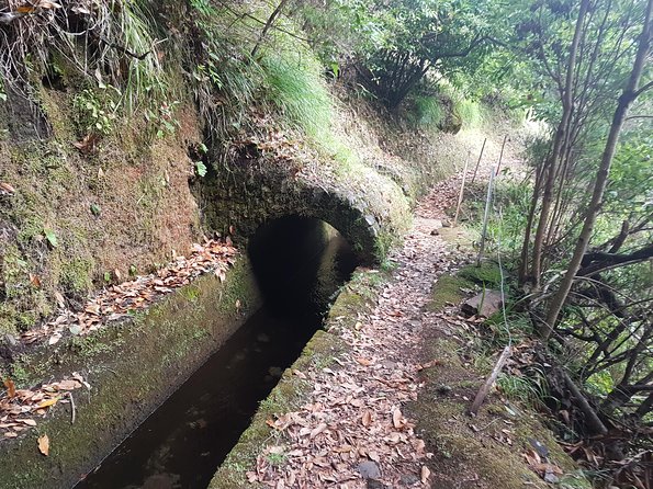 Private Guided Walk Levada Ribeira Da Janela - Pricing and Booking Details