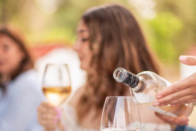 Private Guided Wine Tasting With Tour of the Vineyards in Vieste - Experience Details