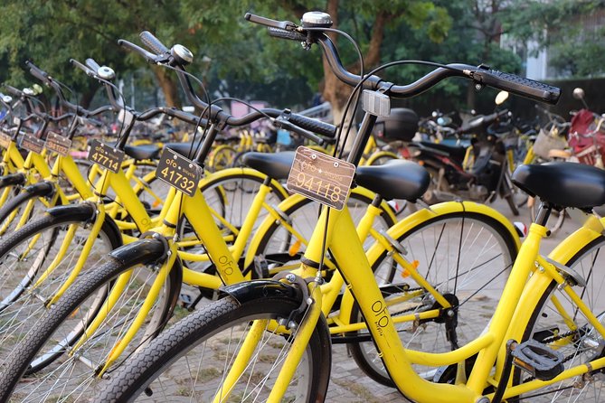Private Half-Day Beijing Tour: Forbidden City and Houhai Lake Bike Tour - Tour Highlights