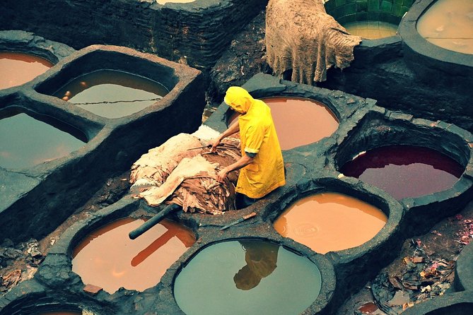 Private Half-Day Walking Tour in the Medina of Fez (Fes) - Visual Inspiration
